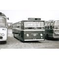 Black & White Photo of W. Stonier & Sons Ltd. o...