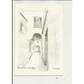 Devon SOUTH MOLTON Market Street Art Postcard b...