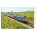 Railway BRITISH RAIL 50 044 Postcard by Dawlish...