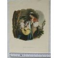 Vintage coloured engraving - Wild Geranium - tw...