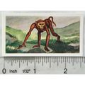 Neilson's Interesting Animals card No. 49 Rhesu...