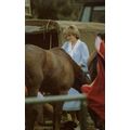 Diana Playing With Bashful Horse 1982 Royal Fam...