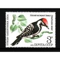 RUSSIA 1979 BIRD 3k LESSER SPOTTED WOODPECKER S...
