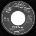 Irene Cara ** Casablanca Records # NBS 2366