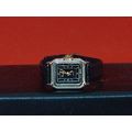 Pre-Owned Women’s Eurotech Lizard Band Analog D...
