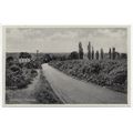 Danbury Common Essex Postcard D2