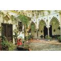 Cordoba Typical Court Yard Spain Postcard unuse...