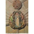 Assumption Of Mary Sculpture Interior York Mins...