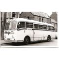 Black & White Photograph of A. Timpson & Sons L...