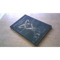 The Mortal Instruments: City of Bones - Shadowh...