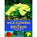 A Naturalist's Guide To The Wild Flowers Of Bri...