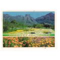 KIRSTENBOSCH NATIONAL BOTANIC GARDENS, SOUTH AF...