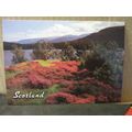 THE HEATHER AT LOCH AN EILEAN, ROSS-SHIRE, SCOT...
