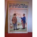 ninety-one pubs, SAUCY SEASIDE POSTCARD used H....
