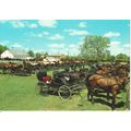 Canada Postcard - Kitchener - Waterloo, Ontario