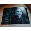 Genuine, Signed, 10"x8" Photo, Ralph Fiennes (H...