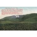 EC98 WESTBURY WHITE HORSE . COLOURED PRINTED PO...