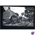 Sussex HARTING Village Postcard by S.& E. (D 12...
