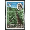 RHODESIA & NYASALAND 1963 SG 44 - MNH (**)