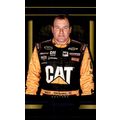 2016 Panini Torque Racing. Ryan Newman #22 BLUE...