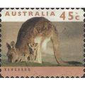 AUSTRALIA, MAMMAL, Eastern Grey Kangaroo s/a, b...