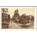Durham DARLINGTON The Dene Postcard by Valentin...