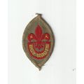 Scout Badge UK Pre 1967 - Scout Tenderfoot (Dar...