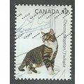 CAN 2013 (P)(S/A)' CHOOSE ADOPTION -CATS' FINE ...