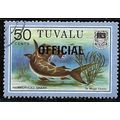 1981 SG O15 - fine used (o) - FISH