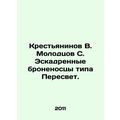 Peasaninov V. Molodtsov S. Peresvet-type battle...
