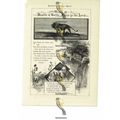 Beasts And Cattle Bless The Lord, Illustrated P...