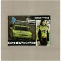 2009 Press Pass Premium Danica Patrick HOT Pursuit
