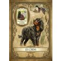 TCHAD 2017 SHEET MNH DOGS CHIENS PERROS HUNDEN ...