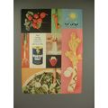 1960 Morton Salt Ad - Any Spring Vegetable
