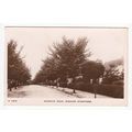 Warwick Road Bishop's Stortford Postcard RP Her...
