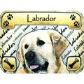 Labrador Photo Fridge Magnet