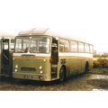 Colour Photo of The Green Bus Co. Ltd. of Rugel...