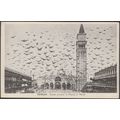 Volata Piccioni in Piazza San Marco, Venezia, c...