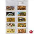 INCREDIBLE CREATURES (WALTON) FULL SET OF 50 CA...