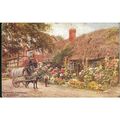 Salmon Series PC - Hollyhocks, Cropthorne, Nr E...