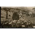 Edwardian Dennis & Sons Ltd - In The Happy Vall...