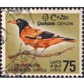 CEYLON, BIRDS, Black-hooded oriole, gold 1966, 75c
