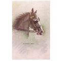 THOROUGH-BRED HORSE by L. E. D. unused antique ...