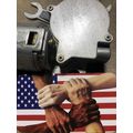 Genuine OEM Volvo Sunroof Moonroof Motor + Modu...