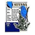 Nevada The Sliver State Montage Fridge Magnet