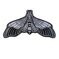 Large Moth Iron on Patch Embroidered Sew Black ...
