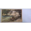 DEER OF THE ITSUKUSHIMA - SHRINE, HAND TINTED. ...