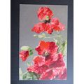 Poppies, Vintage Postcard