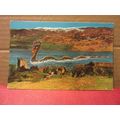 LOCH NESS MONSTER at CASTLE URQUHART, SCOTLAND ...
