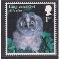 GB 2018 QE2 1st Owls ' Long Eared Owl Chick ' U...